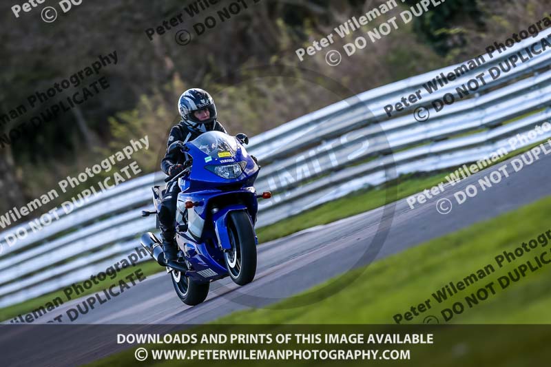 Oulton Park 20th March 2020;PJ Motorsport Photography 2020;anglesey;brands hatch;cadwell park;croft;donington park;enduro digital images;event digital images;eventdigitalimages;mallory;no limits;oulton park;peter wileman photography;racing digital images;silverstone;snetterton;trackday digital images;trackday photos;vmcc banbury run;welsh 2 day enduro